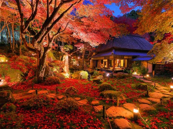 ■【滋賀県】\秋のワクワク詰めこみ旅/紅葉×体験×グルメぜ〜んぶ満喫♪滋賀の映える紅葉スポット<百済寺>&<教林坊ライトアップ>
手廻しロクロ陶芸体験&ラ・コリーナ近江八幡でお買い物★2